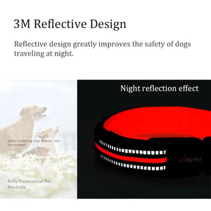 Dog Collar Reflective